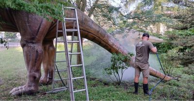 Zęby na błysk, pazury w gotowości